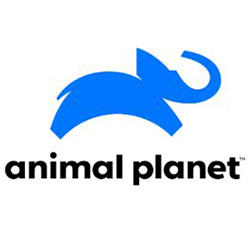 Animal Planet